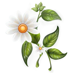 White Flower Symbol PNG 38 PNG