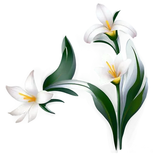 White Flower Symbol PNG Eav PNG