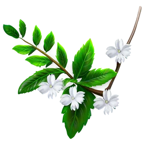 White Flower Theme PNG 05242024 PNG