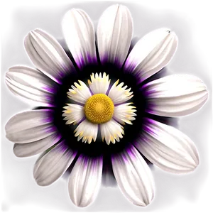 White Flower Theme PNG 22 PNG