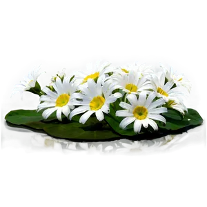 White Flower Theme PNG 98 PNG