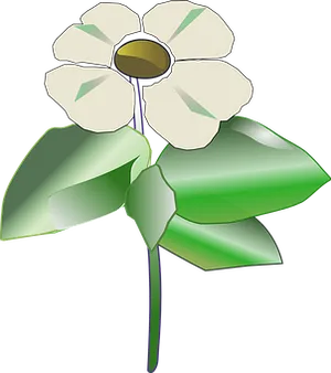 White Flower Vector Illustration