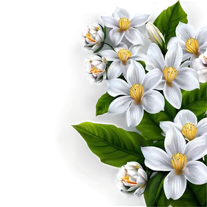 White Flowers Background PNG 05242024 PNG