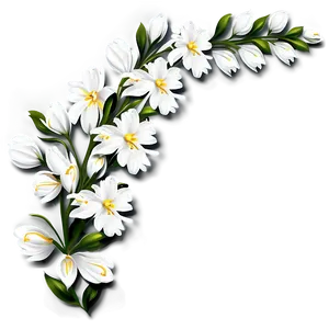White Flowers Background PNG 05242024 PNG