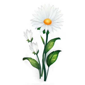 White Flowers Clipart PNG Dqb