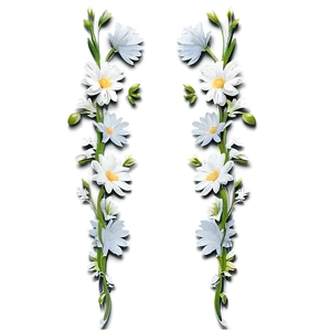 White Flowers Divider PNG 05242024 PNG