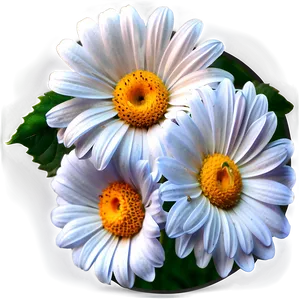 White Flowers Icon PNG Nkw81 PNG