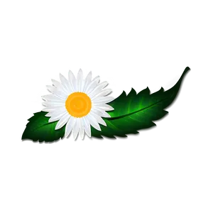 White Flowers Icon PNG Rft94 PNG