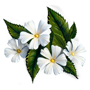 White Flowers Illustration PNG Boy14