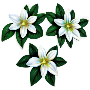 White Flowers Illustration PNG Rdo34