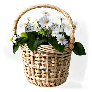 White Flowers In Basket PNG 05242024
