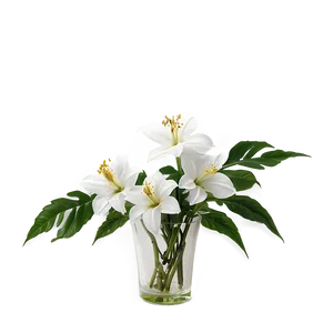 White Flowers In Vase Png Nve41 PNG image