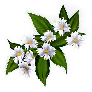 White Flowers Pattern PNG 05242024