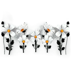 White Flowers Silhouette PNG 54