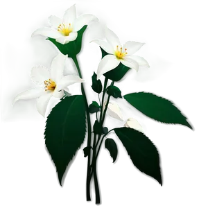 White Flowers Silhouette Png Gef98 PNG image