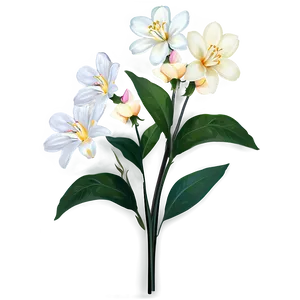 White Flowers Single Stem Png Glc39 PNG image