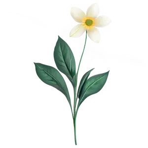 White Flowers Single Stem PNG Qnw71