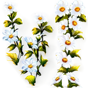 White Flowers Under Sunlight Png Mfo10 PNG image