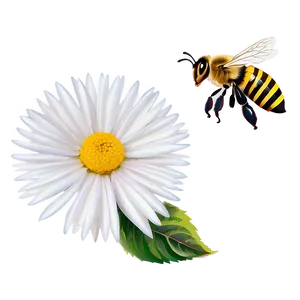 White Flowers With Bees Png 05242024 PNG image