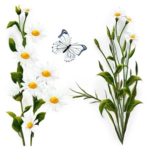 White Flowers With Butterflies PNG 54