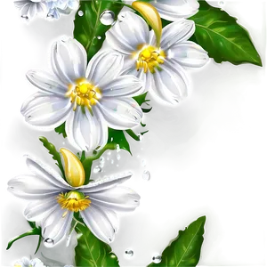 White Flowers With Dew Drops PNG 8