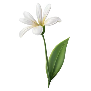 White Garden Flower PNG Oxg