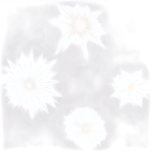 White Glitter Sparkle PNG 06252024