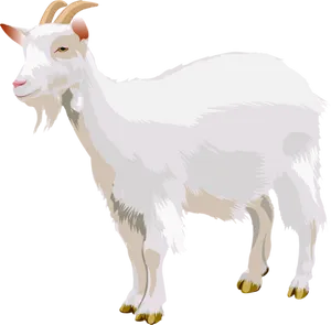 White Goat Illustration.png PNG image