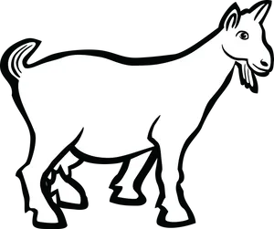 White Goat Illustration PNG image