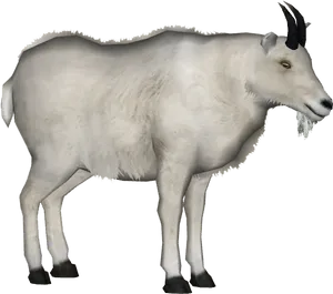 White Goat Profile Graphic PNG image