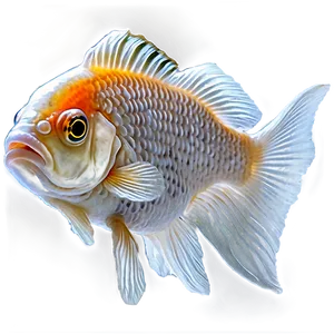 White Goldfish PNG 96