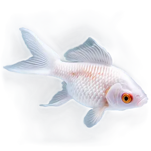 White Goldfish PNG Pwp2