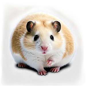 White Hamster Png 05232024 PNG image