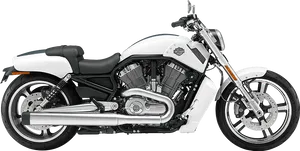 White Harley Davidson Motorcycle