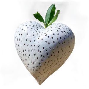 White Heart In Nature Png Pbq41 PNG image