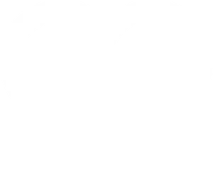 White Heart Outline Graphic PNG