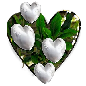 White Hearts In Nature PNG Tar PNG