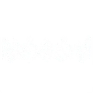 White Lace Border Png 44 PNG image