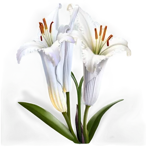 White Lily Flower Png Gjf PNG image
