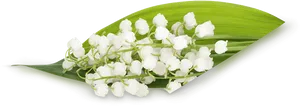 White Lilyofthe Valley Bouquet PNG image