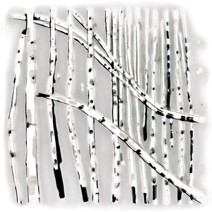 White Lines Drawing PNG 06282024
