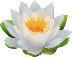 White Lotus Flower Illustration PNG image