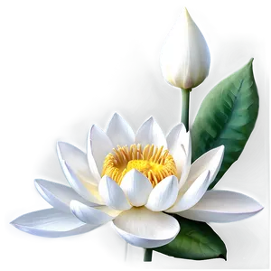 White Lotus Flower Png Kay PNG image