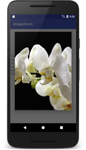 White Orchids Smartphone Display PNG image