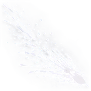 White Paint Splatter For Diy PNG Sov PNG