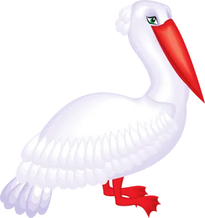 White Pelican Illustration PNG
