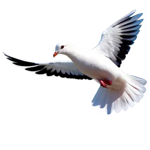 White Pigeon Peace Symbol Png 05242024 PNG image