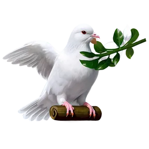 White Pigeon Peace Symbol PNG 05242024