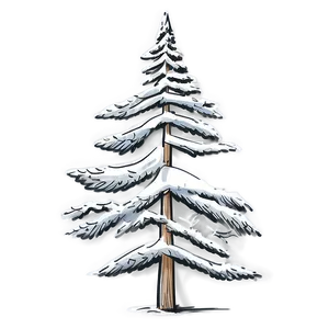 White Pine Tree Sketch PNG Mqy PNG