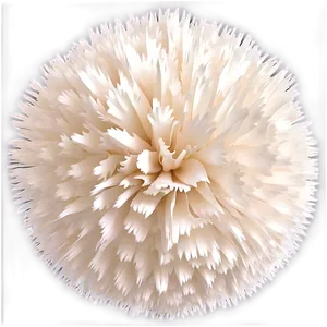 White Pom Poms Png 06132024 PNG image